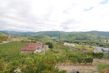 Vistas + viñedo