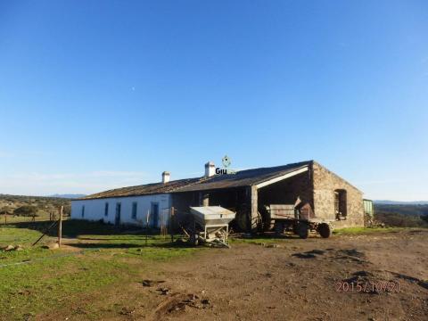 Terreno en venta en Brozas