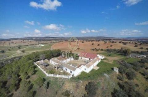 Espectacular finca agropecuaria-cinegética